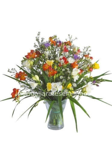 Bouquet fresie