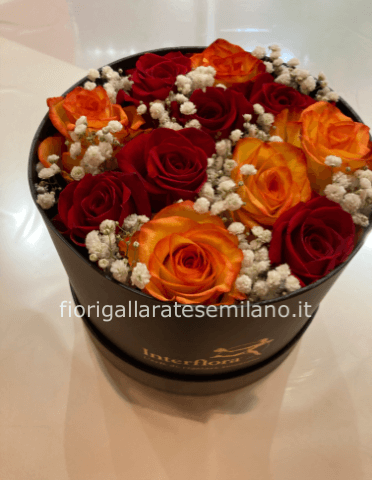 Rose In. Scatola